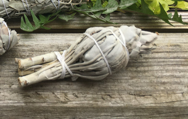 White Sage Mini Torch